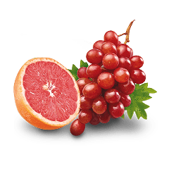 Fruta Fresca Fruta Fresca